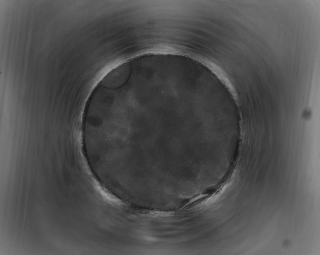 X0000100490845200806201651