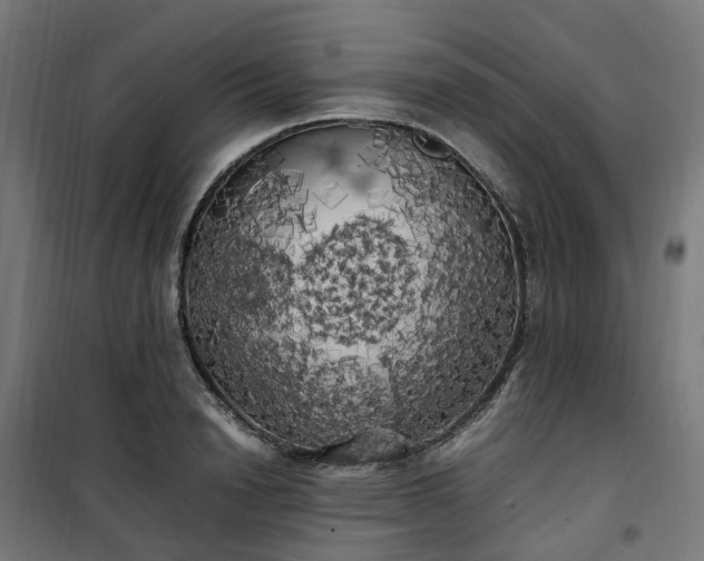 X0000100490846200806201651