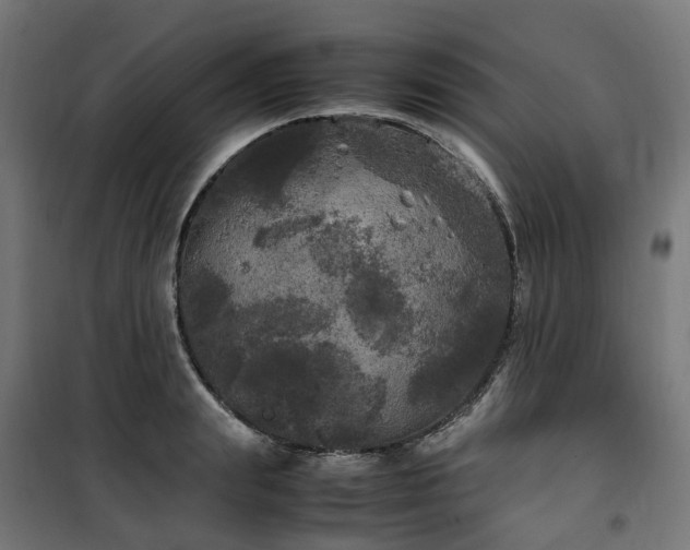 X0000100490847200806201651
