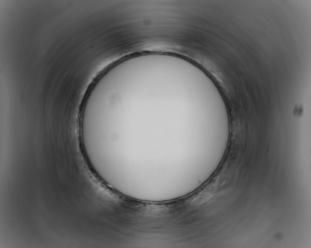 X0000100490848200806201651