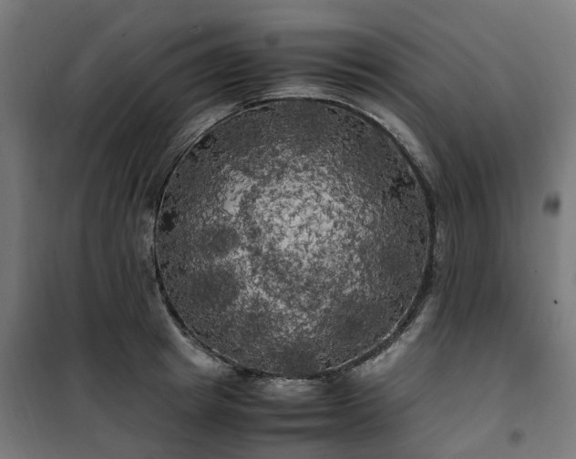 X0000100490849200806201651