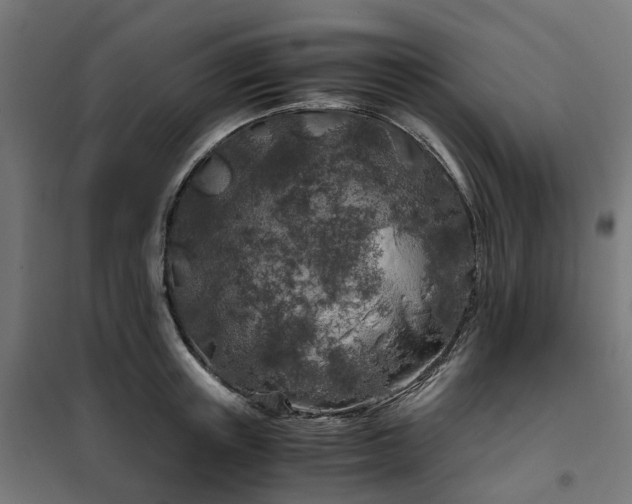 X0000100490851200806201651