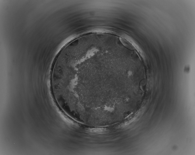 X0000100490853200806201651