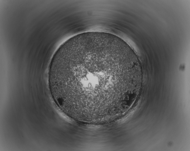X0000100490854200806201651
