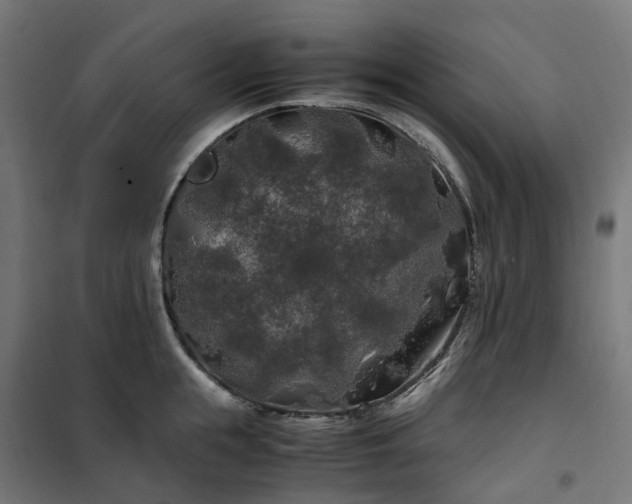 X0000100490855200806201651
