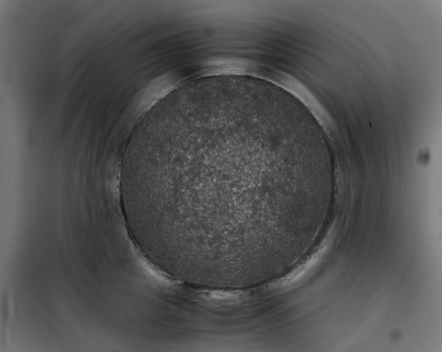 X0000100490857200806201651