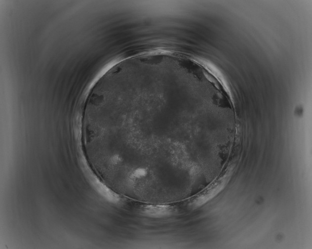 X0000100490859200806201651