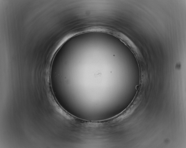 X0000100490860200806201651