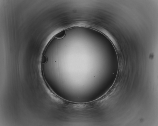 X0000100490861200806201651