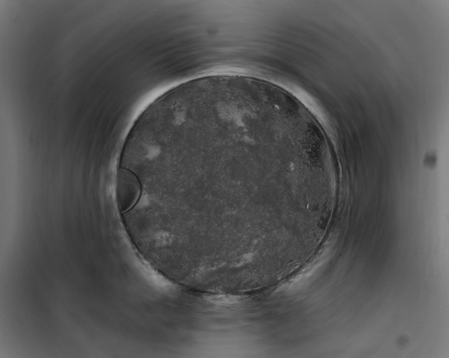 X0000100490862200806201651