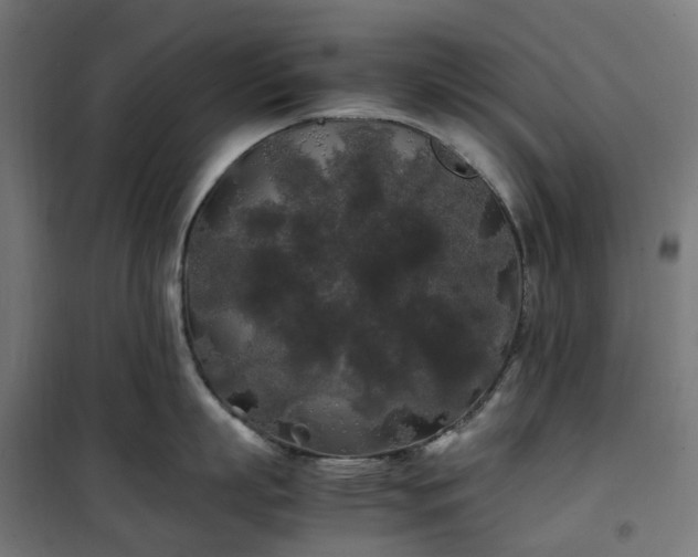 X0000100490863200806201651