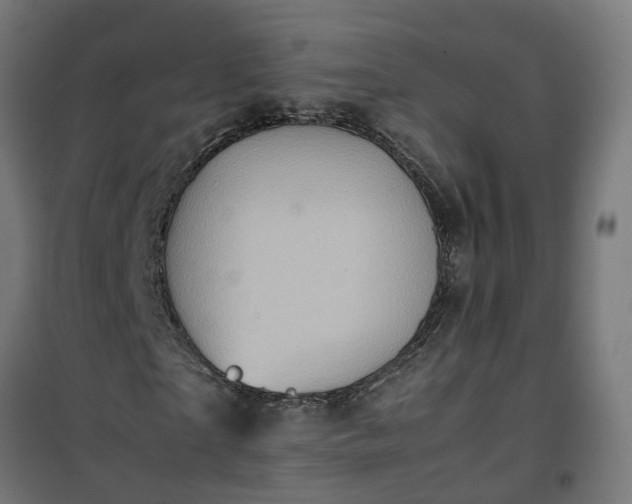 X0000100490865200806201650