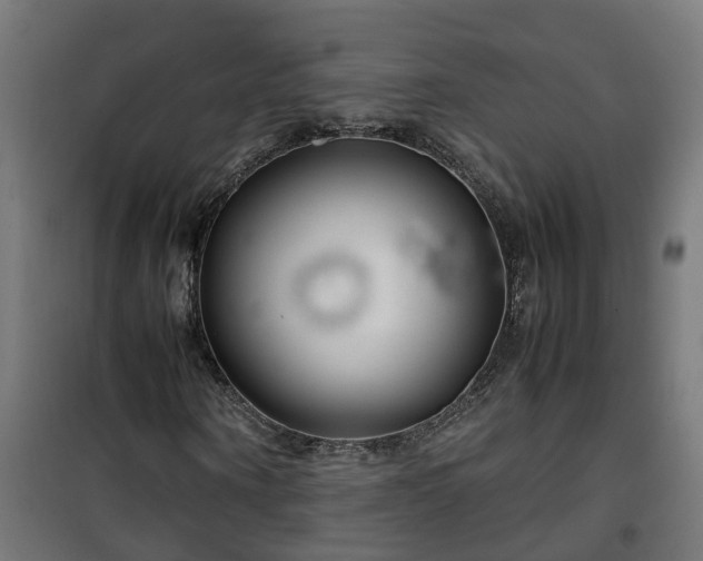 X0000100490866200806201650