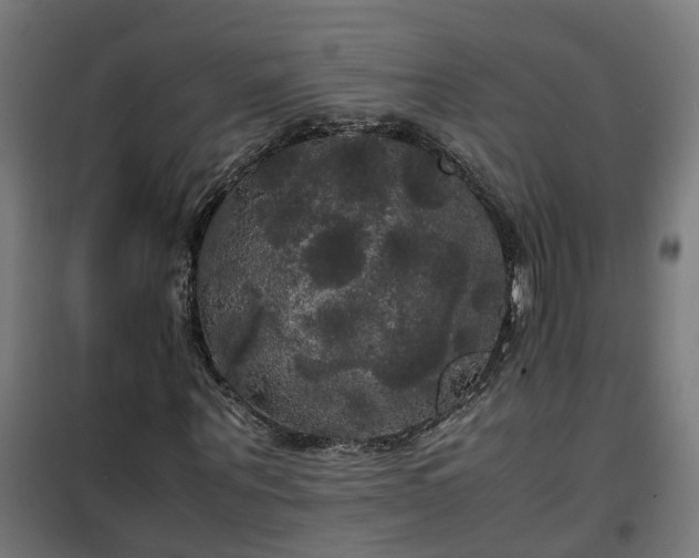 X0000100490867200806201650