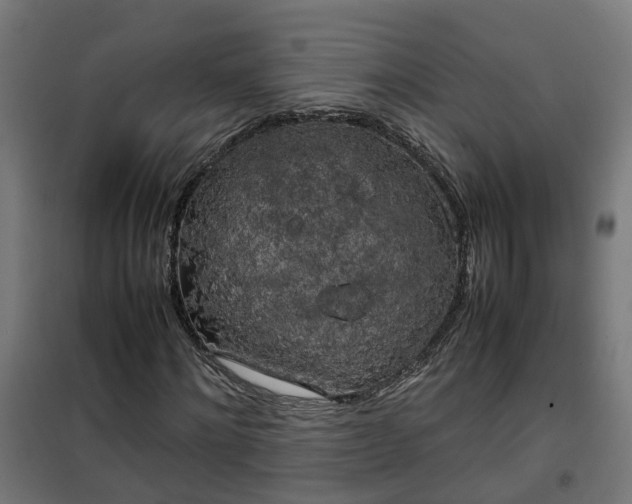 X0000100490868200806201650