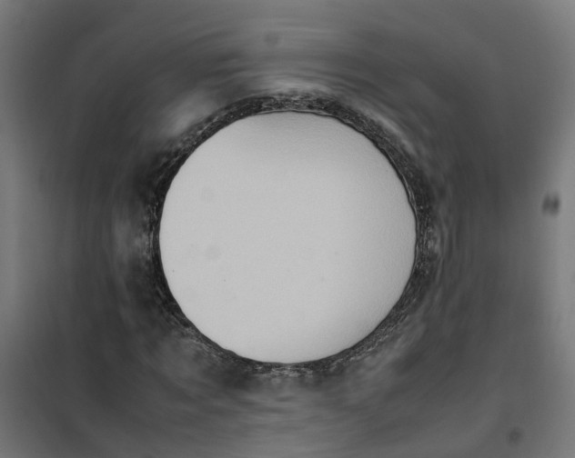 X0000100490869200806201650