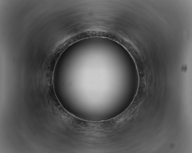 X0000100490870200806201650