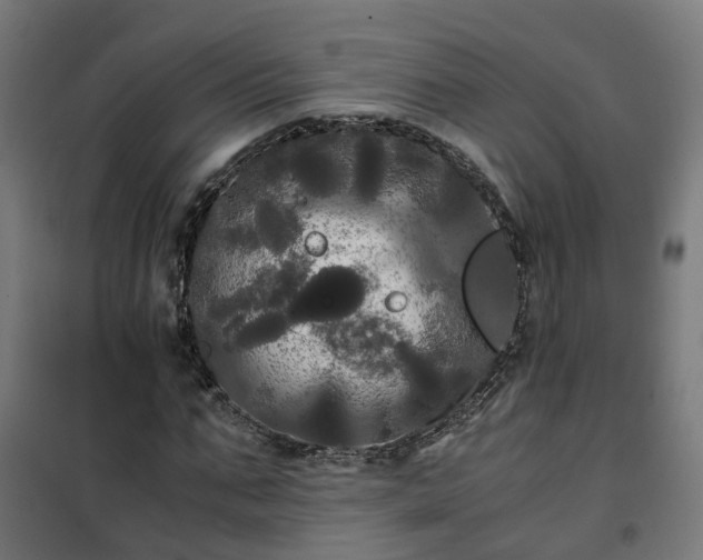 X0000100490871200806201650