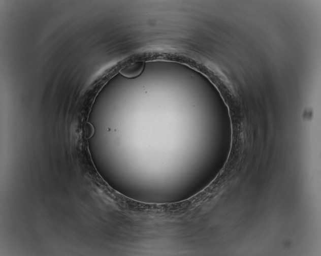 X0000100490872200806201650