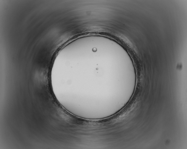 X0000100490873200806201650