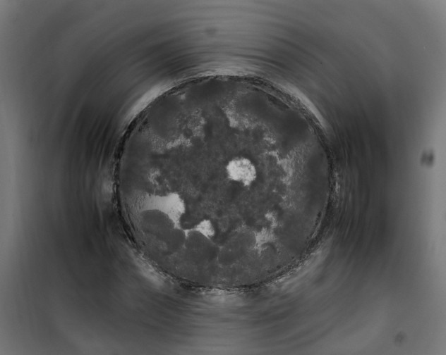 X0000100490874200806201650