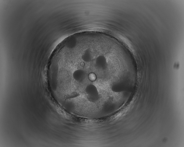 X0000100490875200806201650