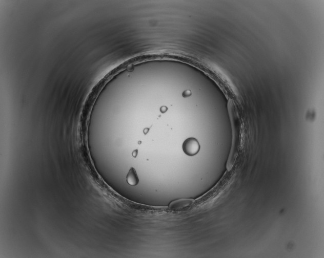 X0000100490876200806201650