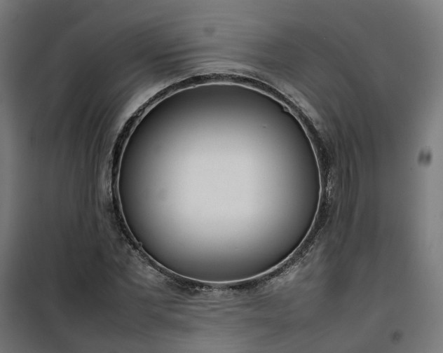 X0000100490877200806201650