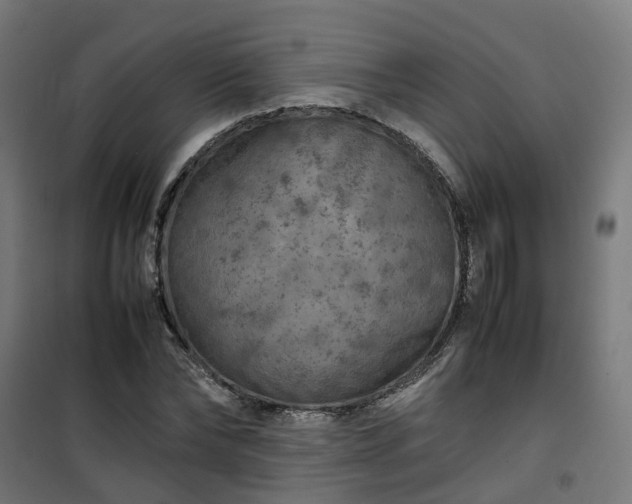 X0000100490878200806201650