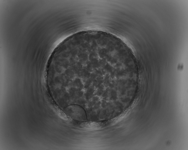 X0000100490879200806201650