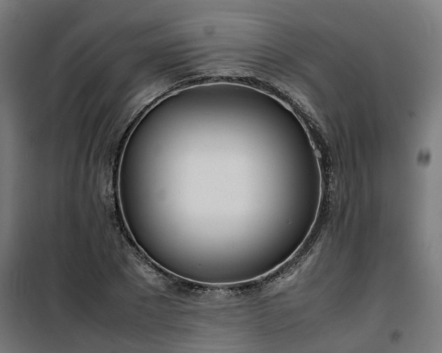 X0000100490881200806201650