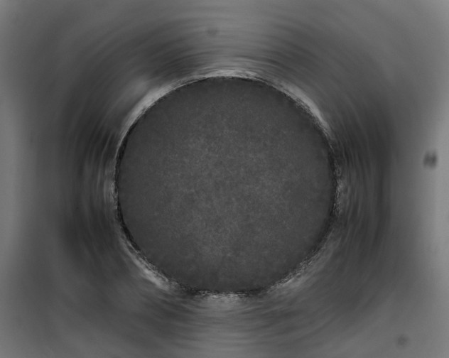 X0000100490882200806201650