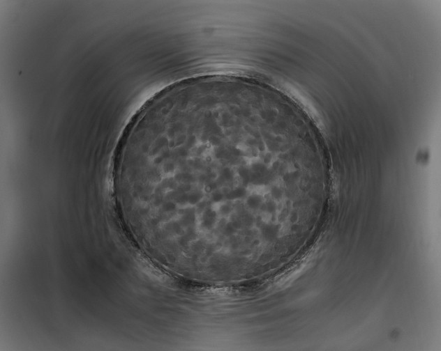 X0000100490883200806201650