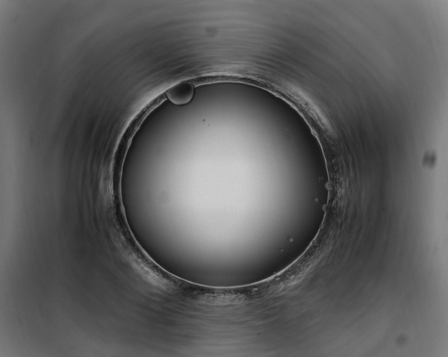 X0000100490884200806201650