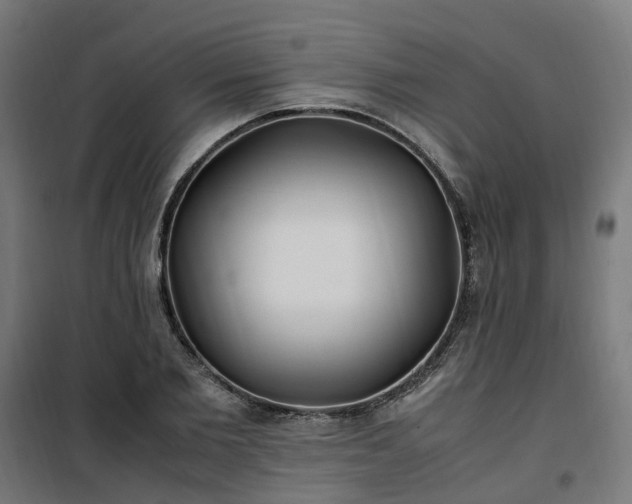 X0000100490885200806201650