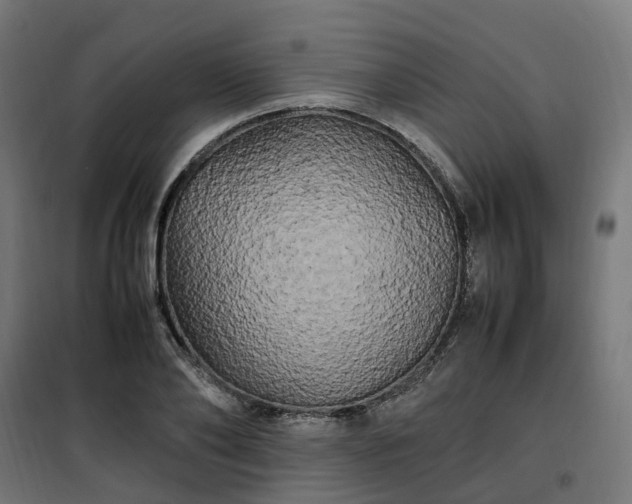 X0000100490886200806201650