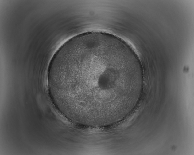 X0000100490887200806201650