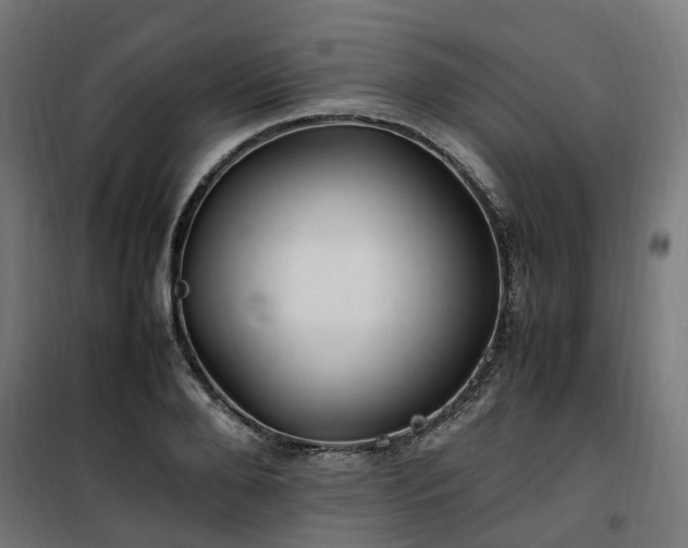 X0000100490888200806201650