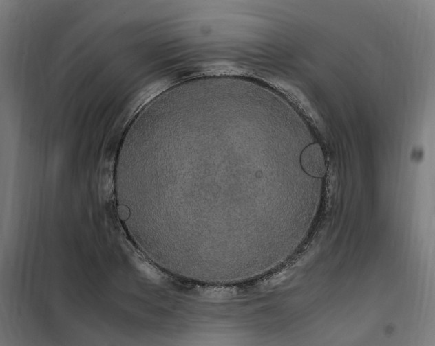 X0000100490889200806201650