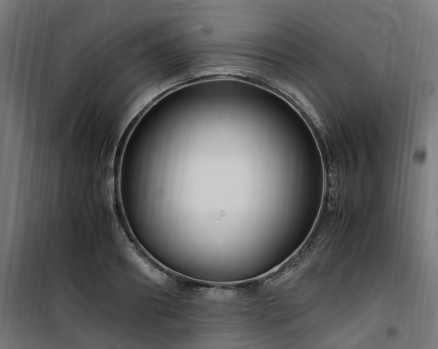 X0000100490890200806201650