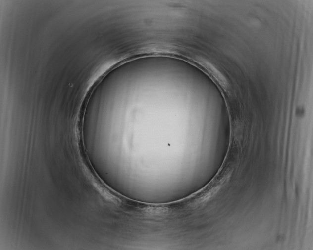 X0000100490893200806201650