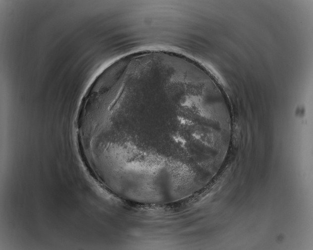 X0000100490895200806201650