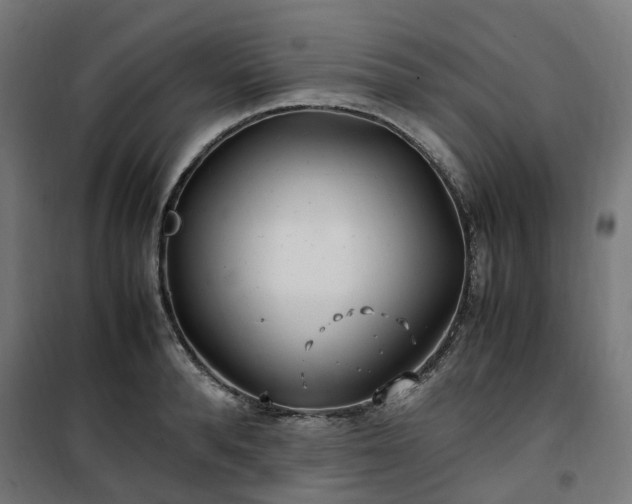 X0000100490896200806201650