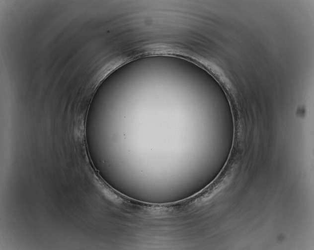 X0000100490897200806201650
