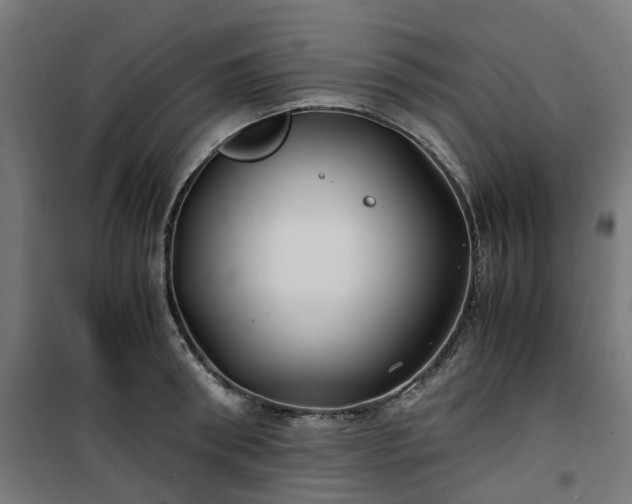 X0000100490898200806201650