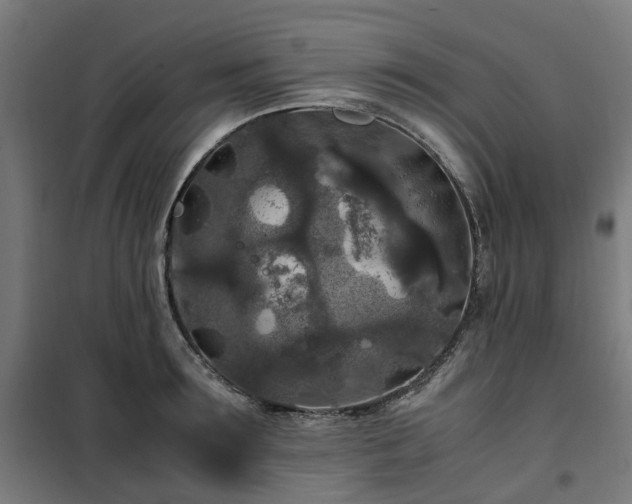 X0000100490899200806201650