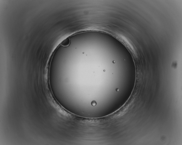 X0000100490900200806201650