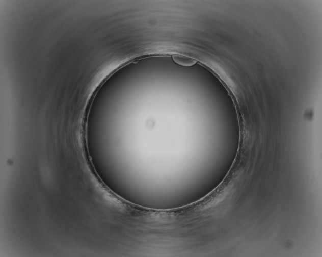 X0000100490901200806201650