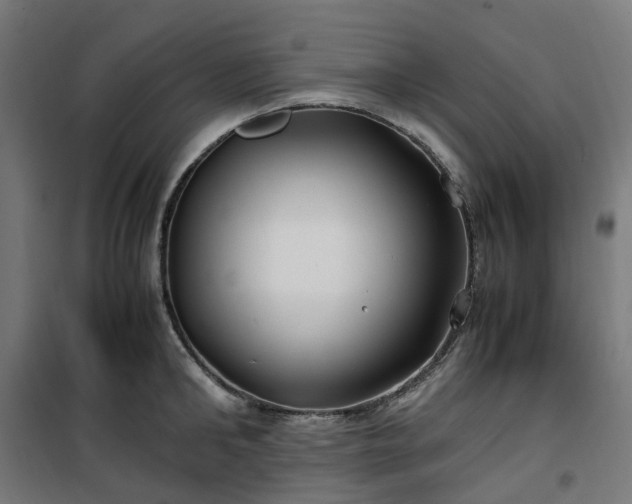 X0000100490902200806201650