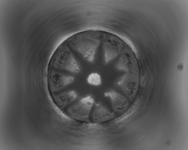 X0000100490903200806201650